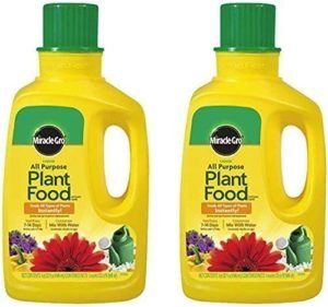 13 Best Liquid Fertilizers For Indoor Plants