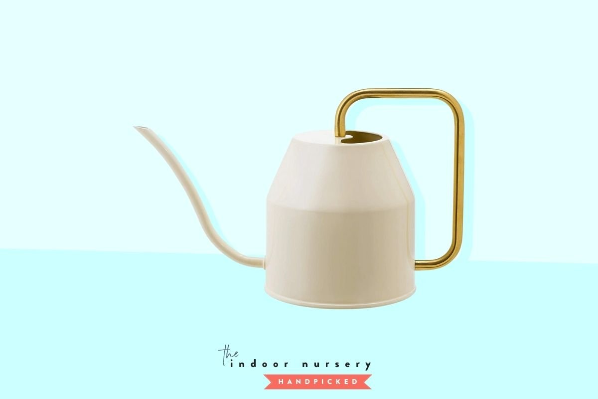 The 10 Best Indoor Watering Cans The Indoor Nursery   Best Indoor Watering Can 1 