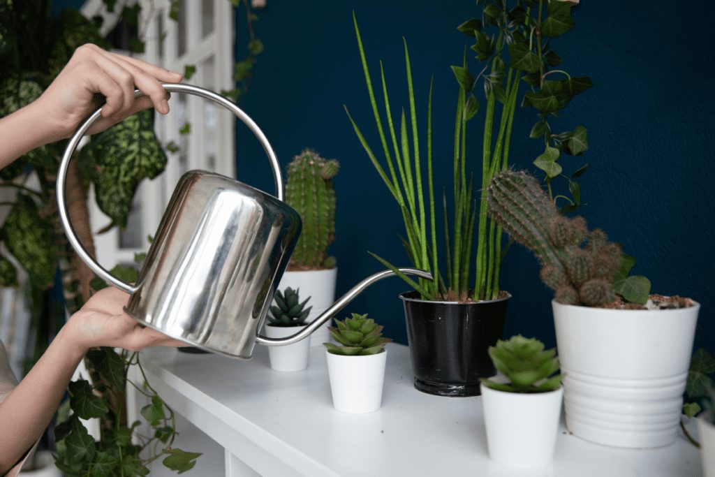 modern watering can