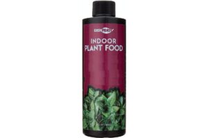 indoor plant food