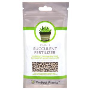 succulent and cactus fertilizer