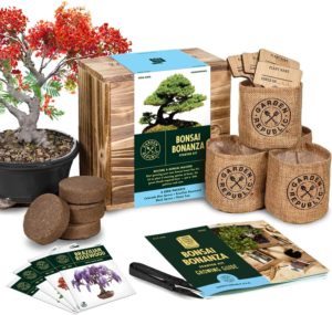 Bonsai Tree Seed Starter Kit - Mini Bonsai Plant Growing Kit, 4 Types of Seeds, Potting Soil, Pots, Pruning Shears Scissor Tool, Plant Markers, Wood Gift