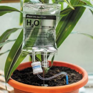 Bubblegum Stuff Plant Life Support - Automatic Watering System for House Plants