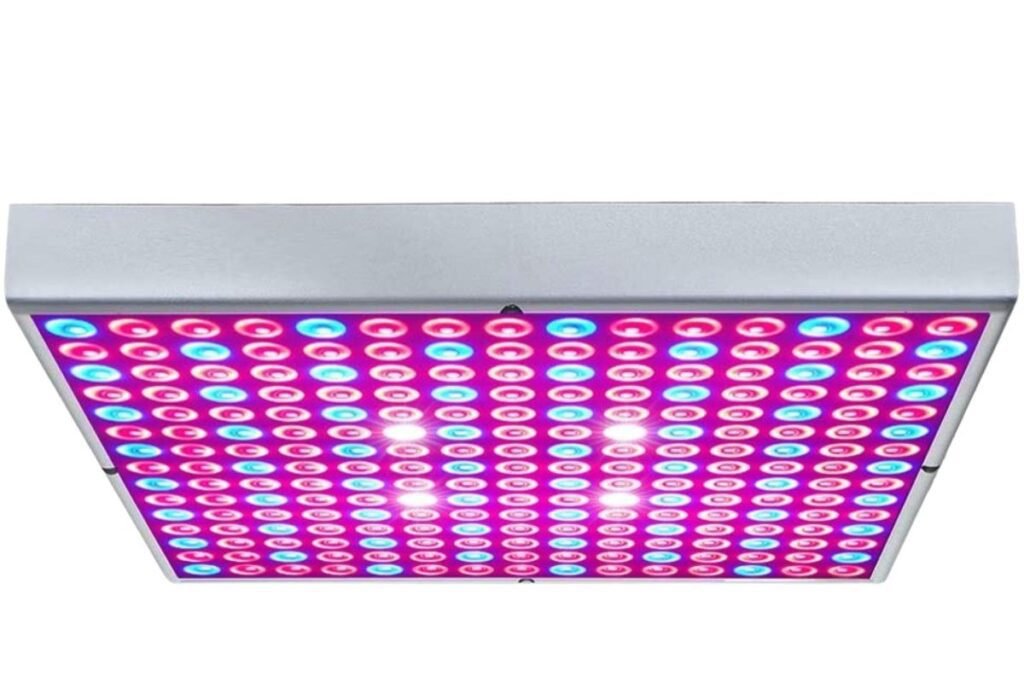 grow lights for indoor plants