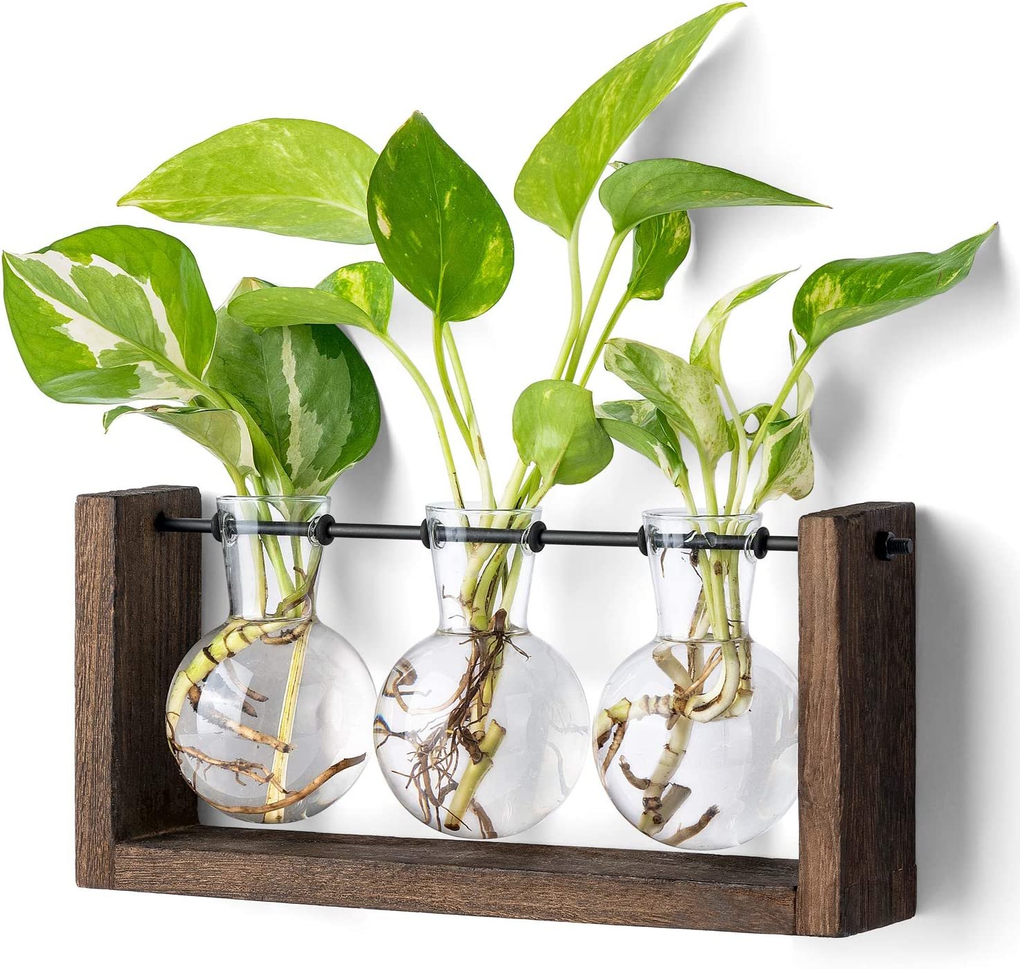 36 Gifts For Plant Lovers That Will Make Their Hearts Sing