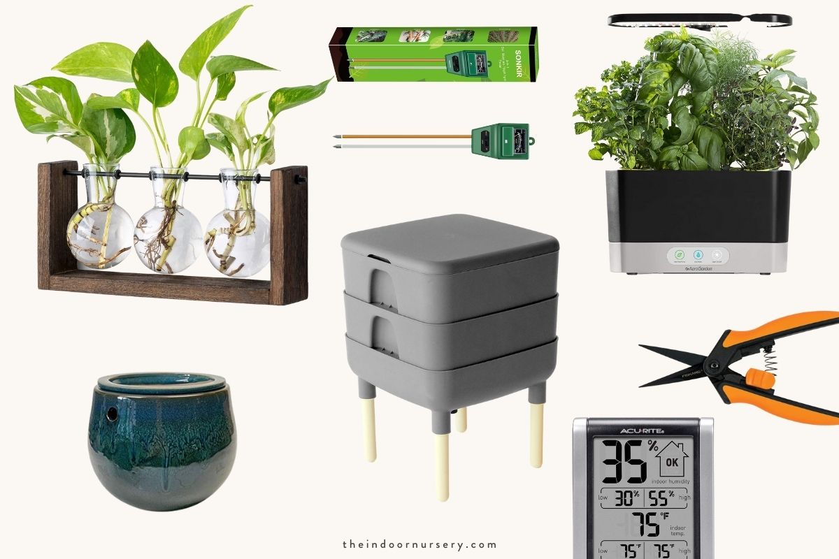 10 gifts for plant lovers that they don’t already have