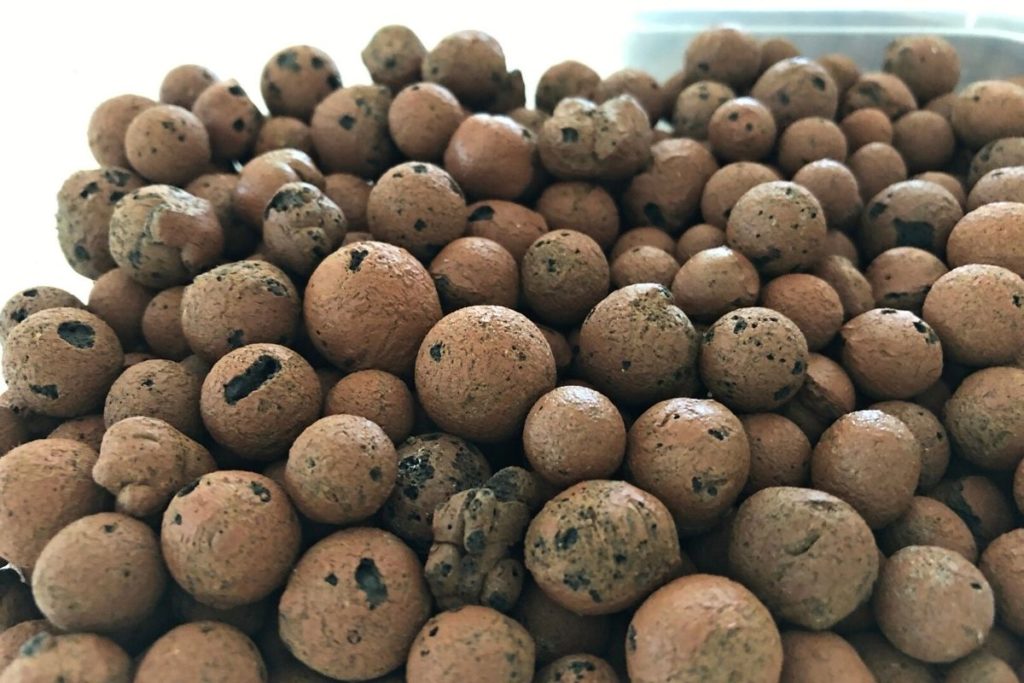 leca balls for plants
