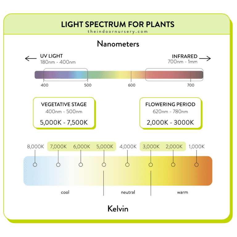 Guide fullspectrum light for plants (+grow light spectrum chart)