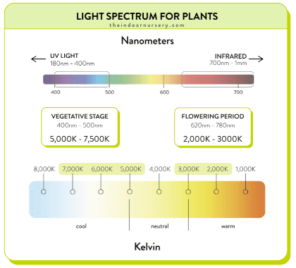 Light spectrum for plants chart