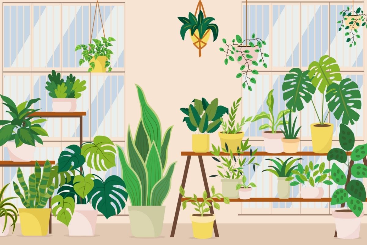 An expert reveals exactly how to care for philodendrons (for beginners)