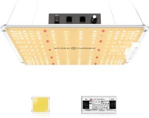 best performing led grow lights spider farmer SF 1000 led grow light