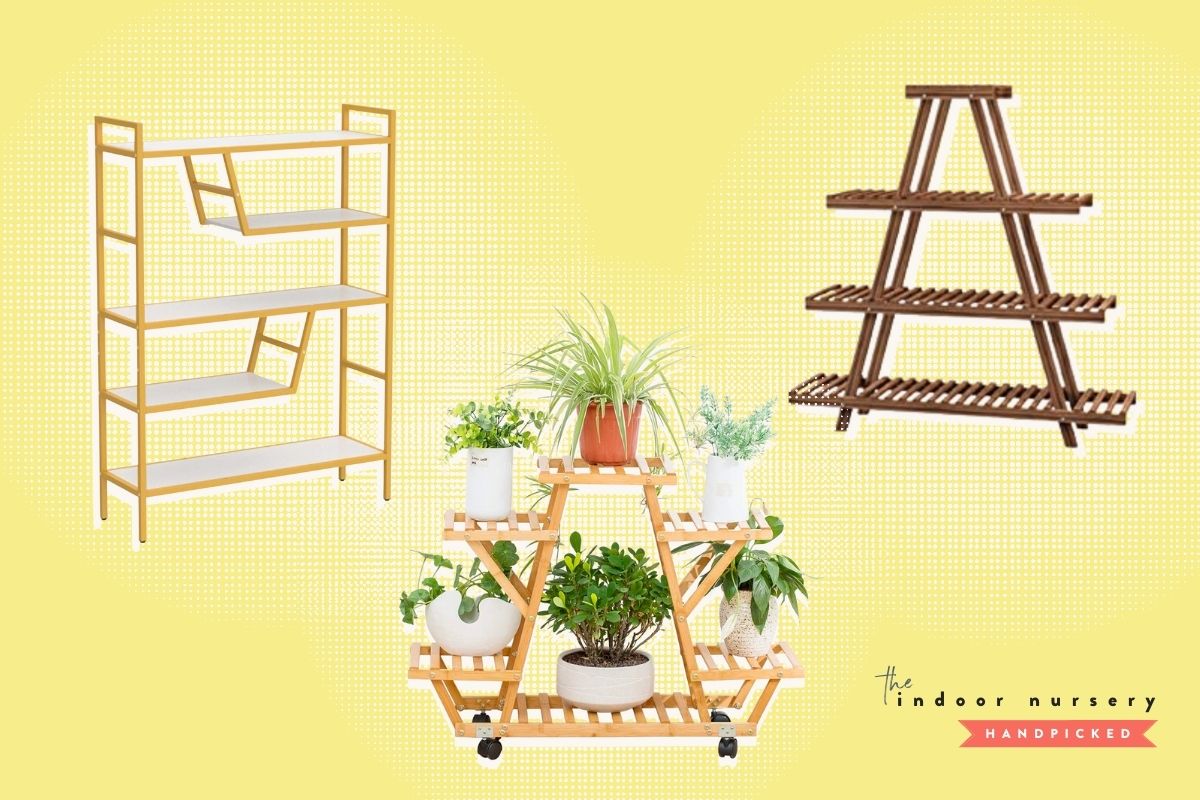 10 best indoor plant shelf picks to elevate your plant collection