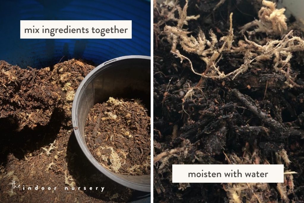 how to make soil for monstera plants