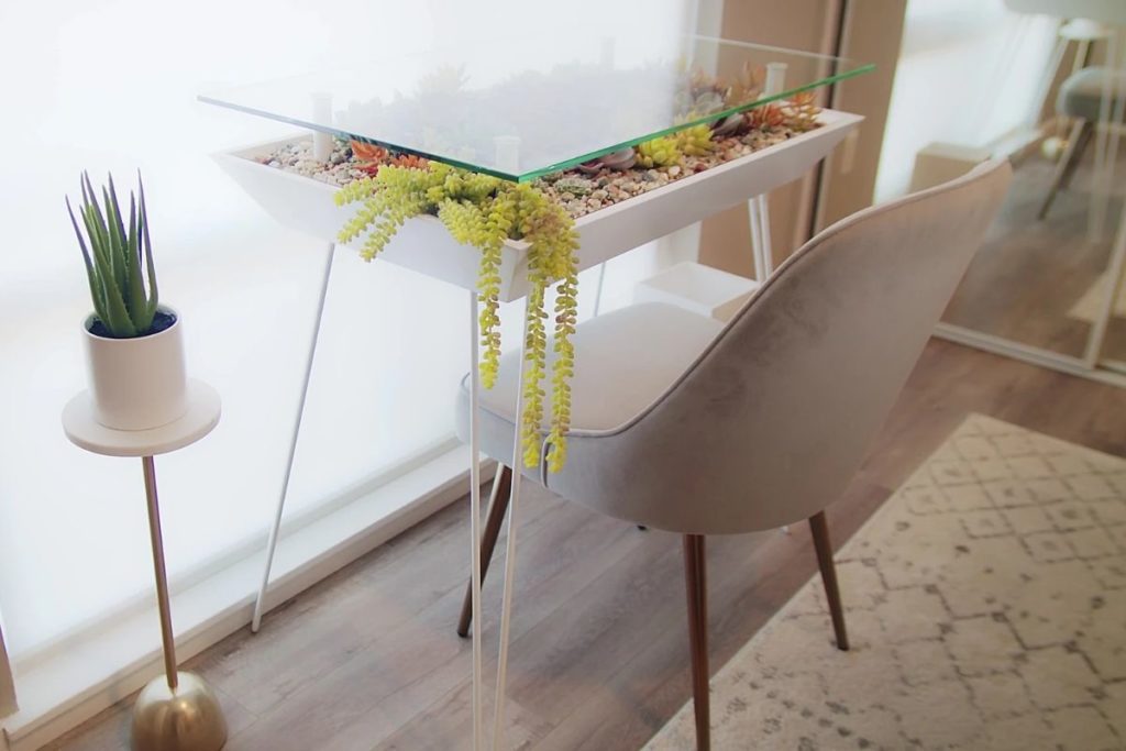 table with plants inside