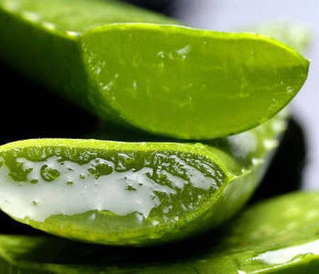 sliced aloe vera shiny gel