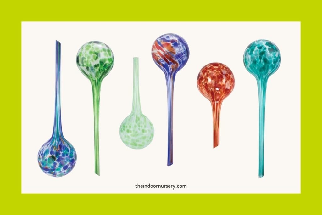 How to use watering globes (we tested for ourselves)