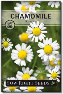roman chamomile seeds
