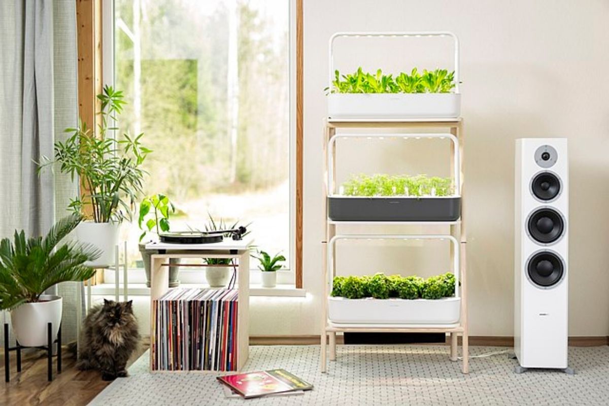 6 easy ways to grow hydroponic houseplants indoors
