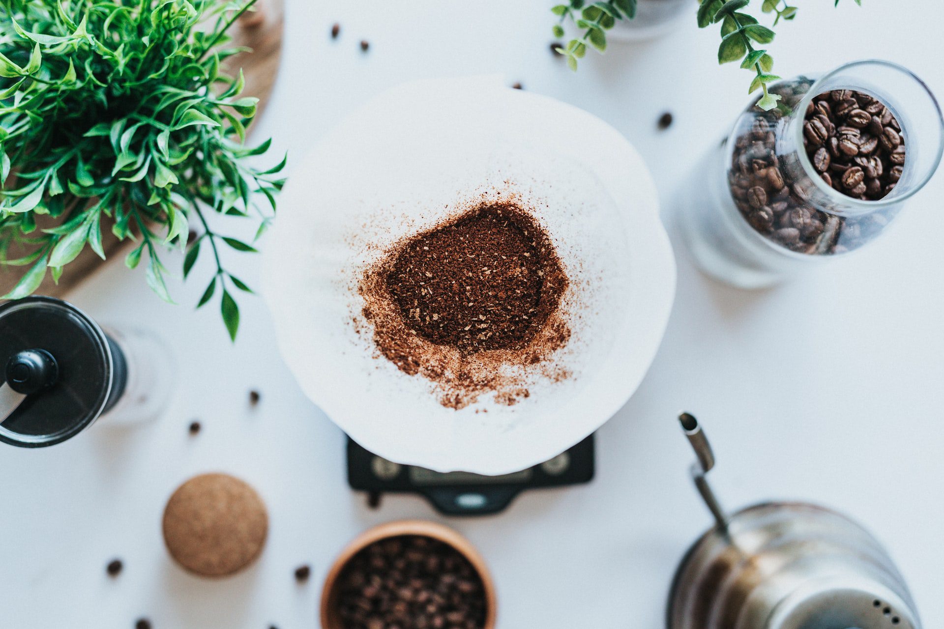 5 reasons to use coffee as fertilizer for your plants