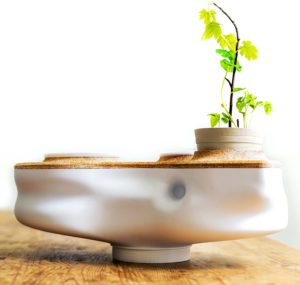 biovessel eco living composter