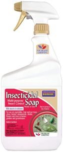 bonide insecticidal soap