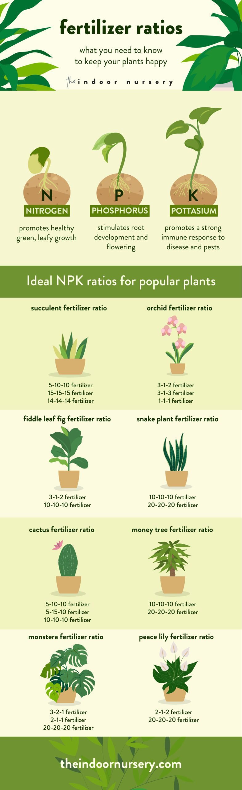 Fertilizer ratio: The NPK meaning on your fertilizer bottles