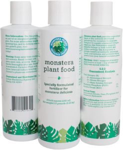 houseplant resource center monstera plant food