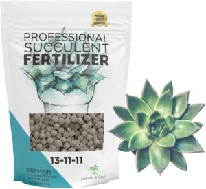 leaves and soul succulent fertilizer pellets