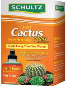 shultz cactus plus