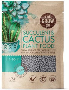 succulents and cactus plant food