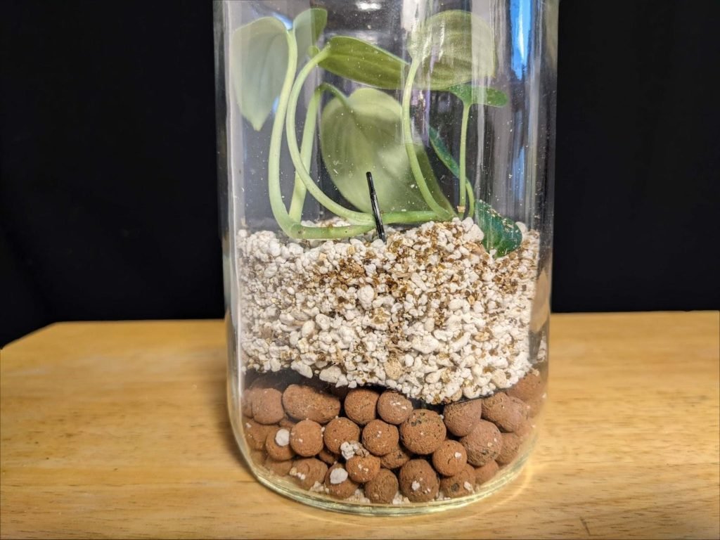 terrarium in a jar