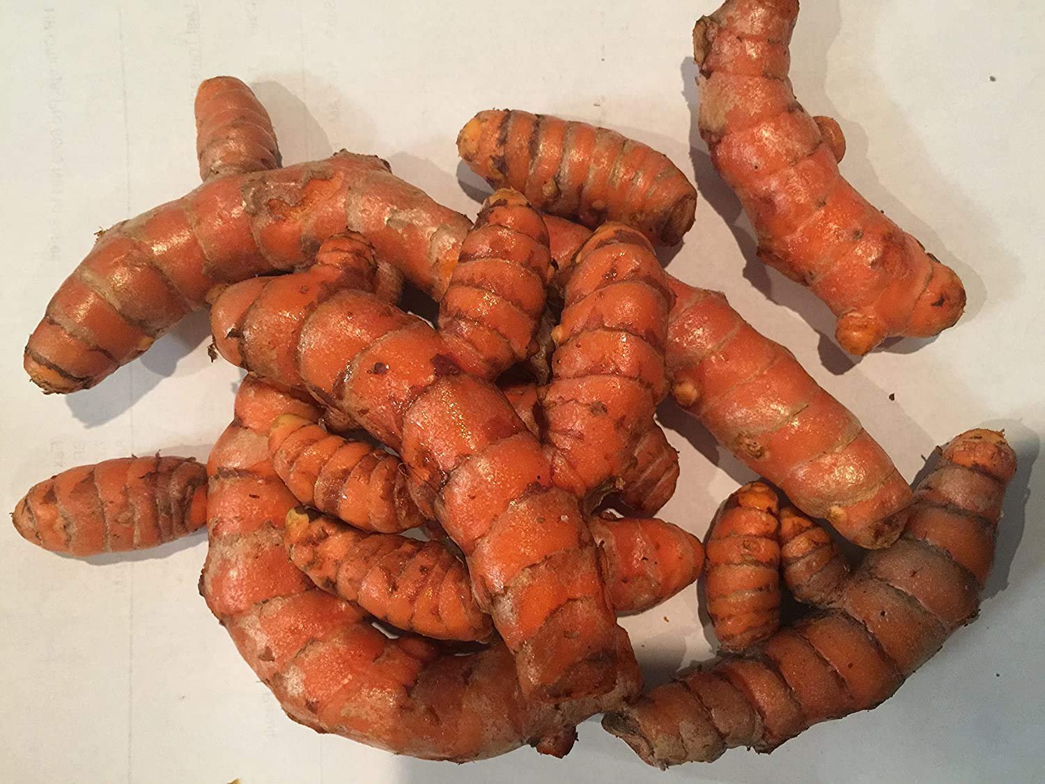 Turmeric Root Tuber At Tina Lown Blog Turmeric Root Tuber At Tina Lown Blog