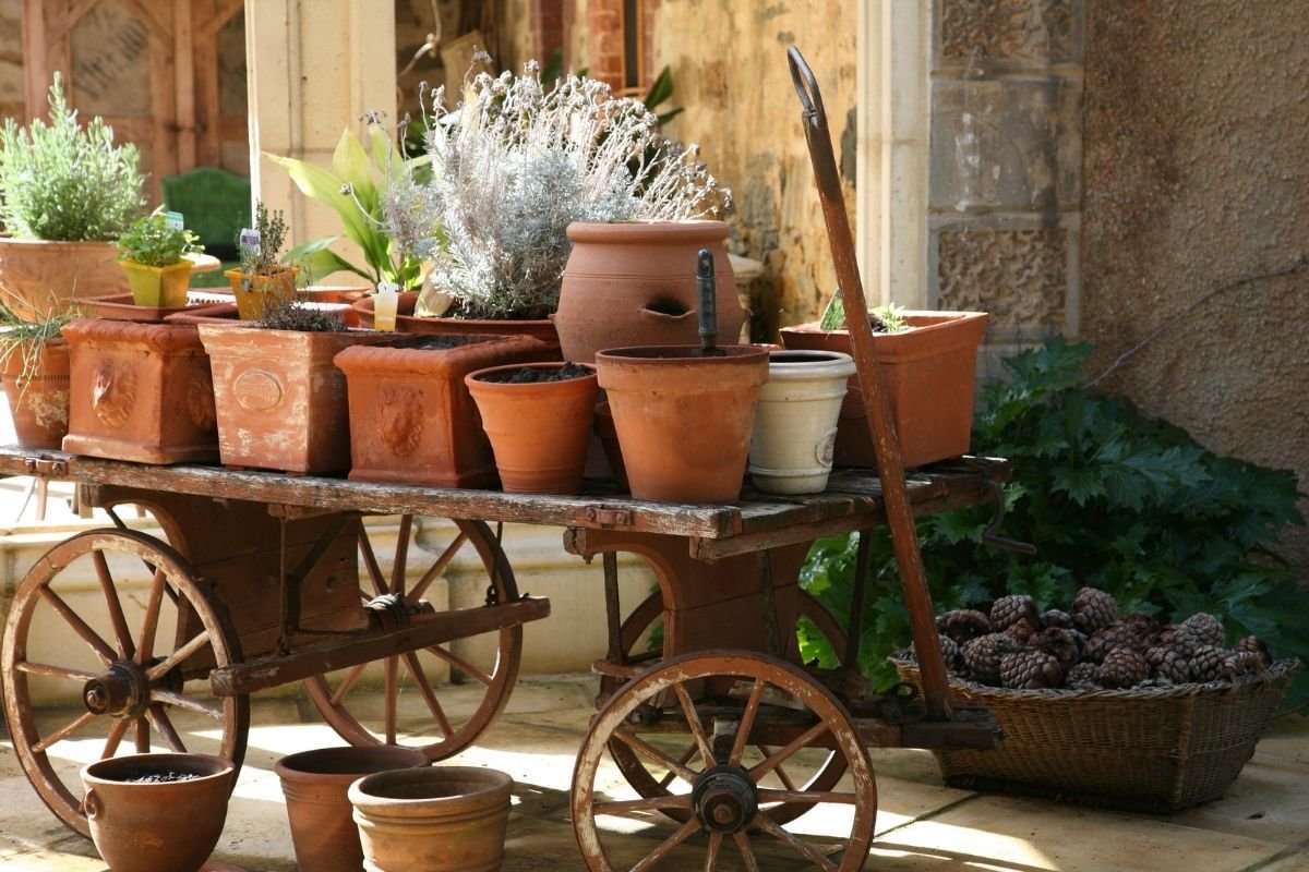 terracotta pots