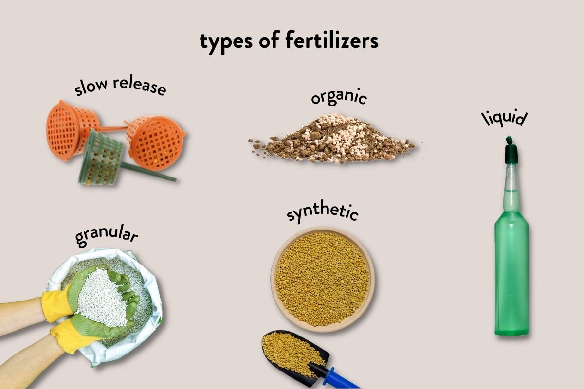 types of fertilizers