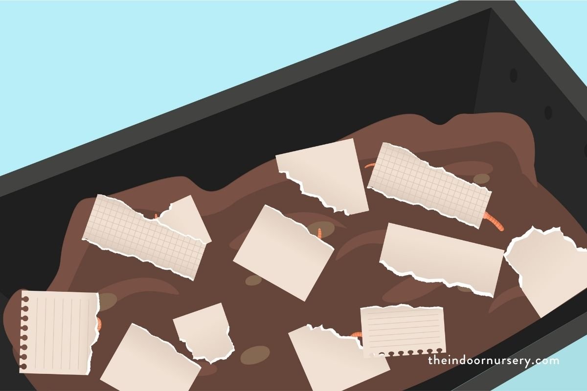 How to make a DIY indoor worm composting bin in 4 steps
