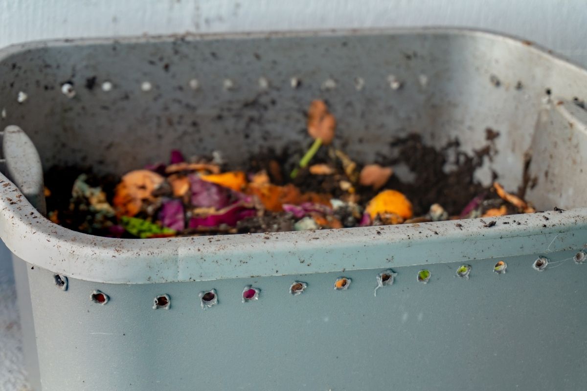 How to make a DIY indoor worm composting bin in 4 steps