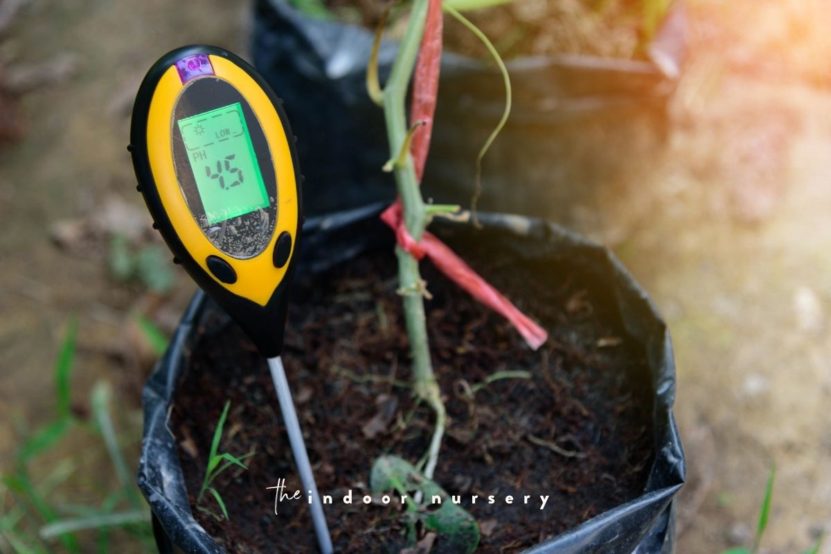How to test soil pH with a pH meter (and amend soil)