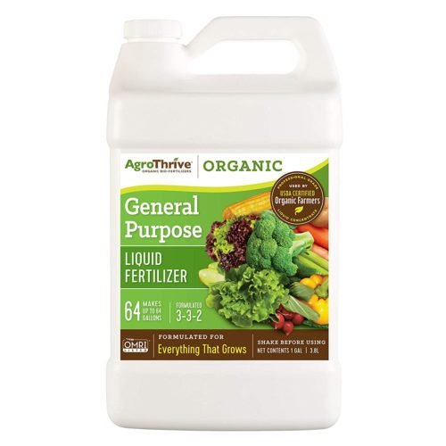 13 best liquid fertilizers for indoor plants