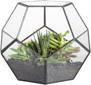 black glass geometric terrarium planter