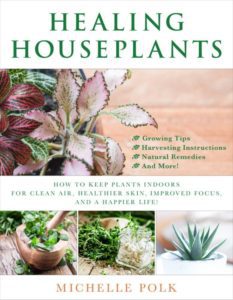 healing house plants