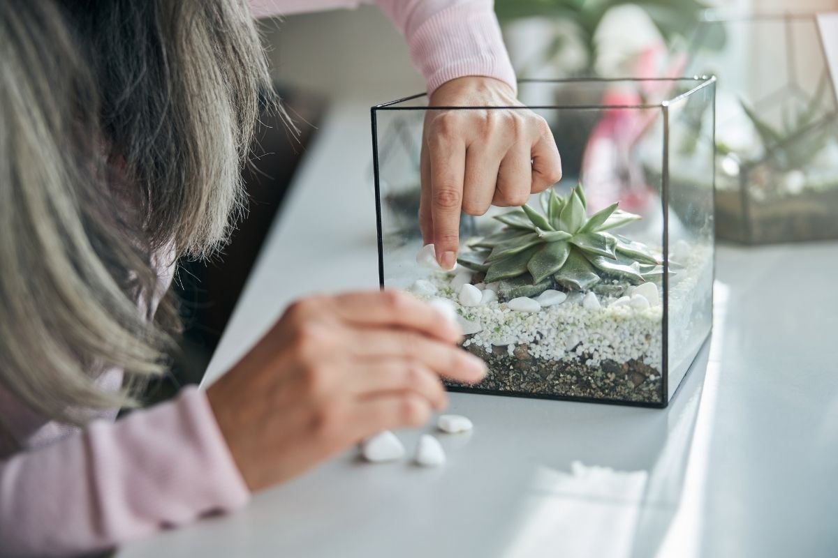 how to decorate succulent terrarium