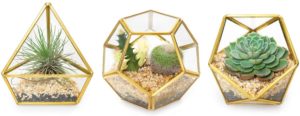 mini glass geometric terrarium container