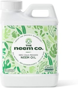 neem oil