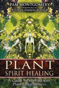 plant spirit healing