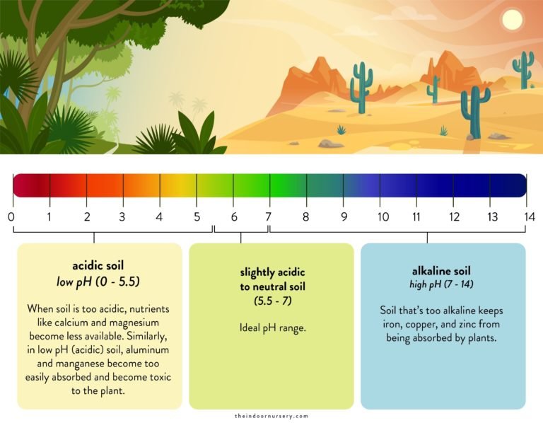 How to test soil pH with a pH meter (and amend soil)