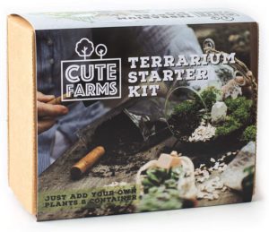 terrarium starter kit