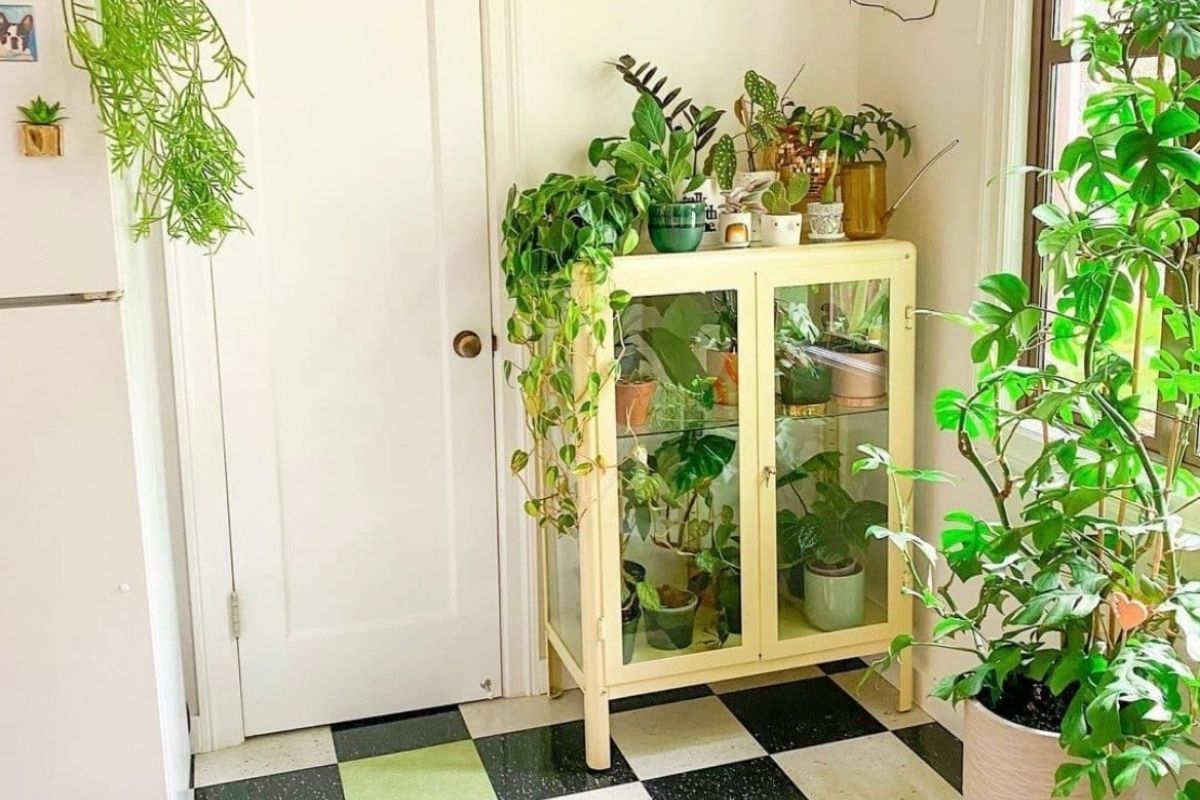 what is the IKEA greenhouse cabinet trend