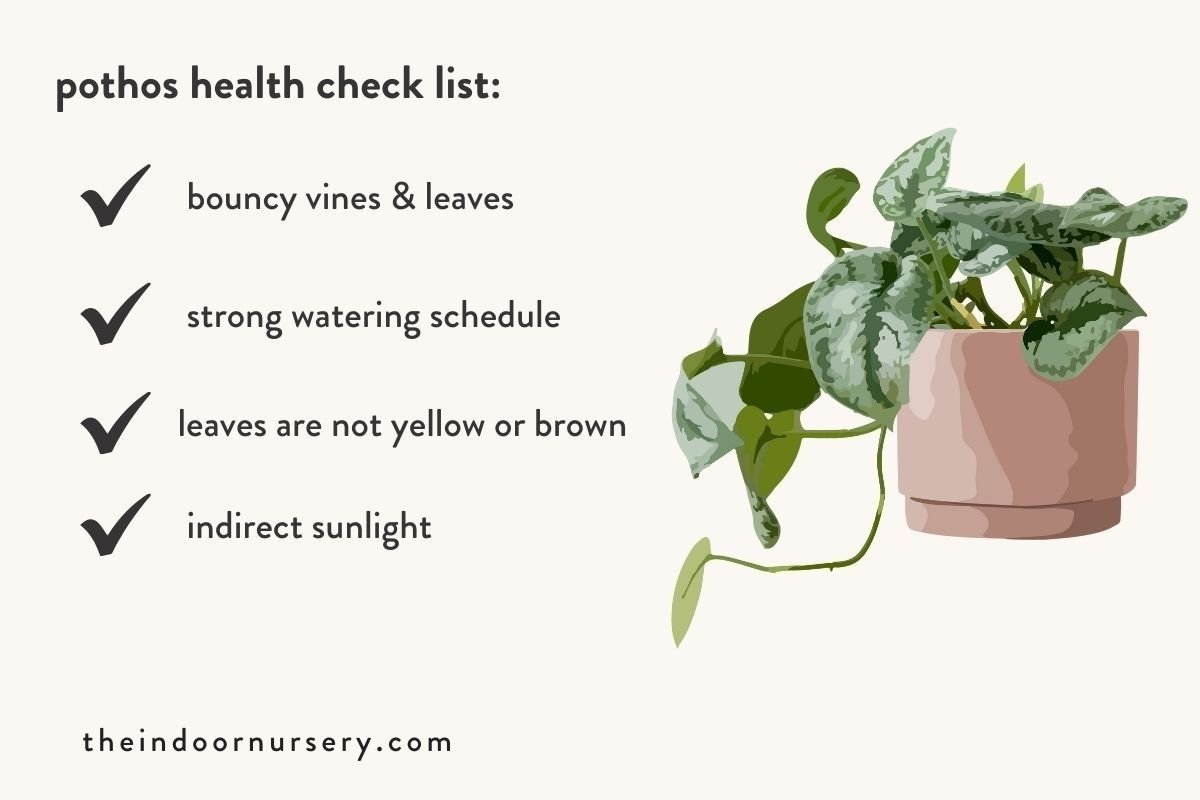 pothos health check