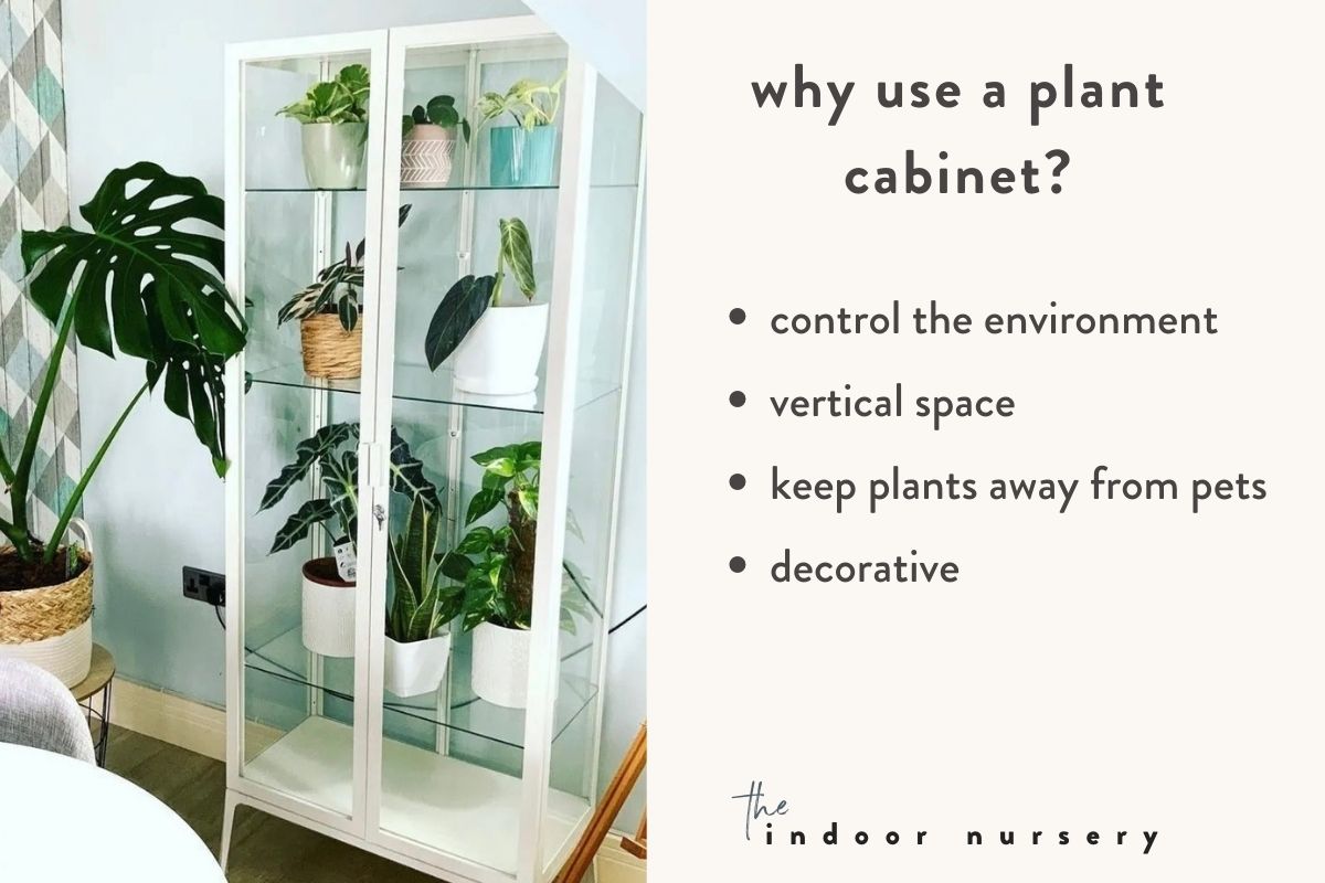 why use a plant cabinet