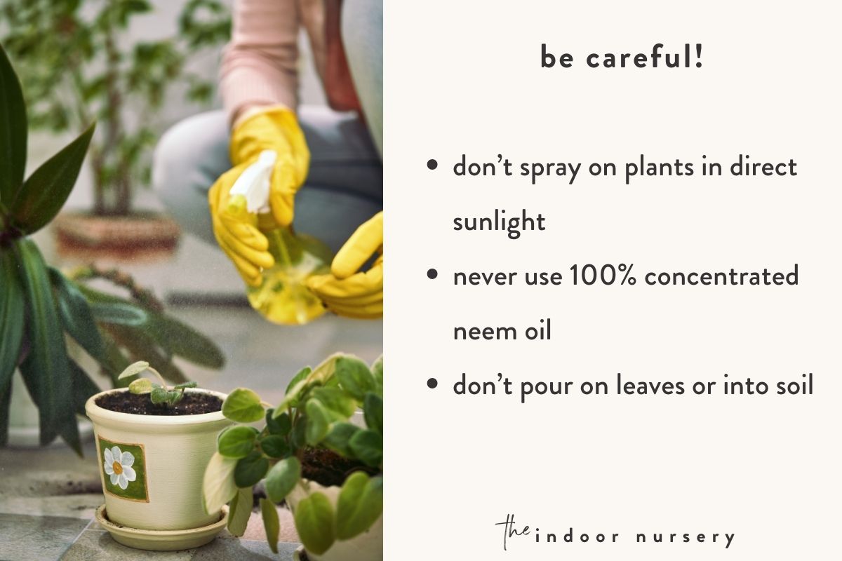 use neem oil with caution